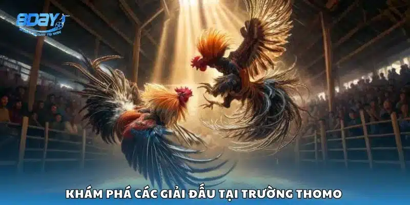 Khám phá các giải đấu tại trường Thomo 